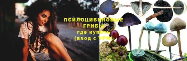 СК Абинск