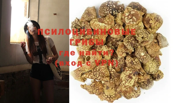 СК Абинск