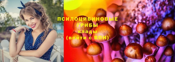ECSTASY Алзамай