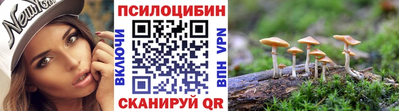 Галлюциногенные грибы Psilocybine cubensis Чухлома